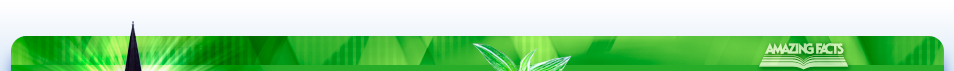 Web Graphic